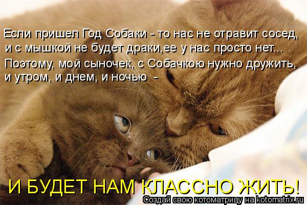 Если пришел Год Собаки - то нас не отравит сосед, и с мышкой не будет драки,ее у нас просто нет... П... Котоматрица: Если пришел Год Собаки - то нас не отравит сосед, и с мышкой не будет драки,ее у нас просто нет... Поэтому, мой сыночек, с Собачкою нужно дружит