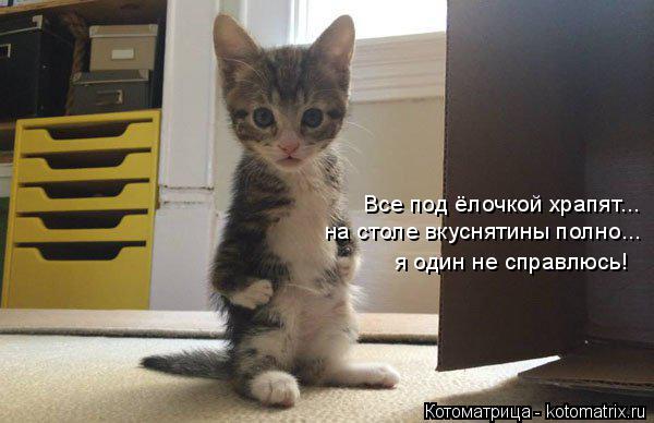 Все под ёлочкой храпят... на столе вкуснятины полно... я один не справлюсь!... Котоматрица: Все под ёлочкой храпят... на столе вкуснятины полно... я один не справлюсь!