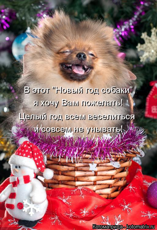 В этот "Новый год собаки", я хочу Вам пожелать! и совсем не унывать! Целый год всем веселиться... Котоматрица: В этот "Новый год собаки", я хочу Вам пожелать! и совсем не унывать! Целый год всем веселиться