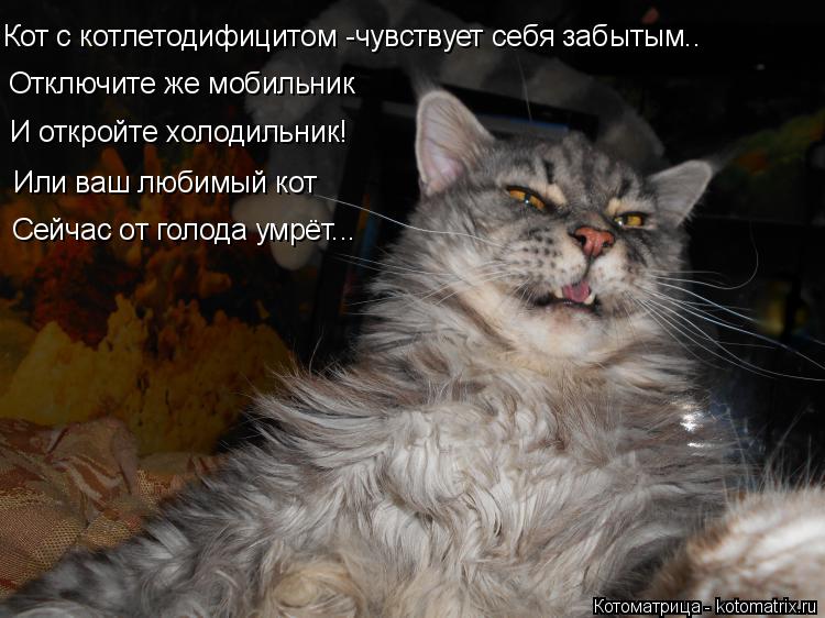 Кот с котлетодифицитом -чувствует себя забытым.. Отключите же мобильник И откройте холодильник! Или в... Котоматрица: Кот с котлетодифицитом -чувствует себя забытым.. Отключите же мобильник И откройте холодильник! Или ваш любимый кот Сейчас от голода умрёт..