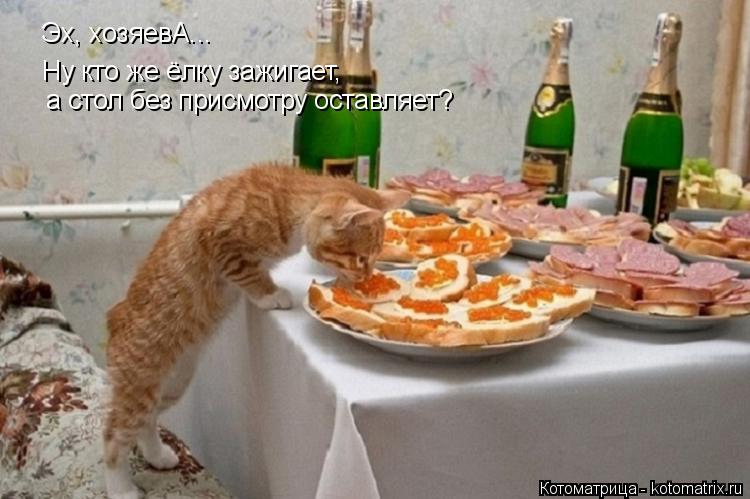 Эх, хозяевА... Ну кто же ёлку зажигает, а стол без присмотру оставляет?... Котоматрица: Эх, хозяевА... Ну кто же ёлку зажигает, а стол без присмотру оставляет?