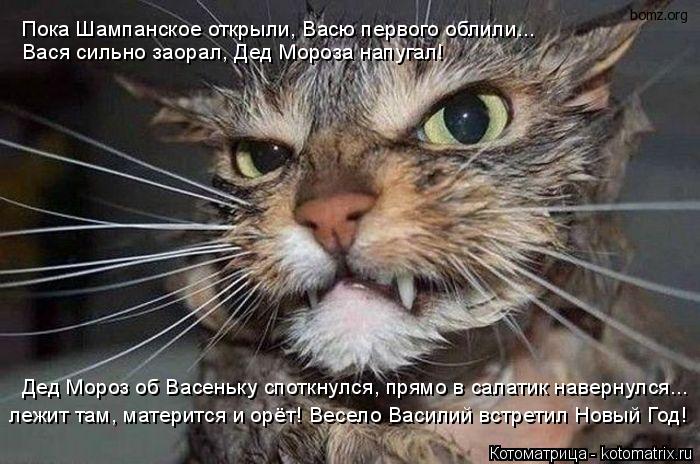 Пока Шампанское открыли, Васю первого облили... Вася сильно заорал, Дед Мороза напугал! Дед Мороз об... Котоматрица: Пока Шампанское открыли, Васю первого облили... Вася сильно заорал, Дед Мороза напугал! Дед Мороз об Васеньку споткнулся, прямо в салатик на?