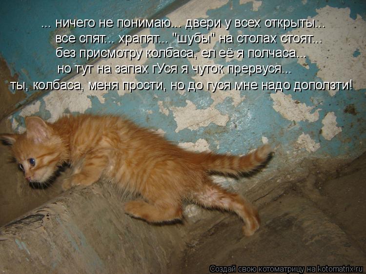 ... ничего не понимаю... двери у всех открыты... все спят... храпят... "шубы" на столах стоят... без... Котоматрица: ... ничего не понимаю... двери у всех открыты... все спят... храпят... "шубы" на столах стоят... без присмотру колбаса, ел её я полчаса... но тут на за?