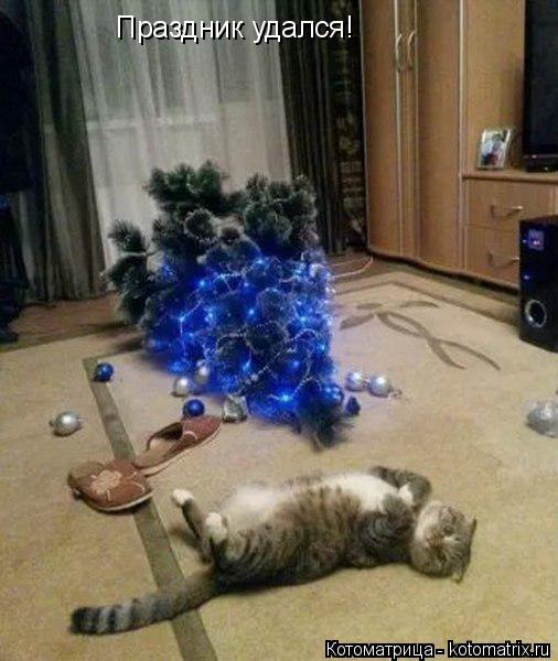Праздник удался!... Котоматрица: Праздник удался!