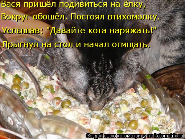 Котоматрица: Вася пришёл подивиться на ёлку, Вокруг обошёл. Постоял втихомолку. Услышав: "Давайте кота наряжать!" Прыгнул на стол и начал отмщать.