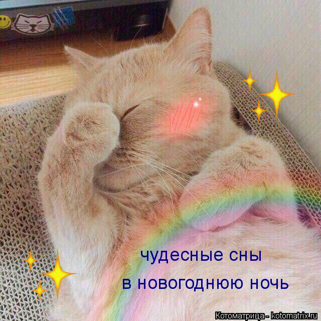чудесные сны в новогоднюю ночь... Котоматрица: чудесные сны в новогоднюю ночь