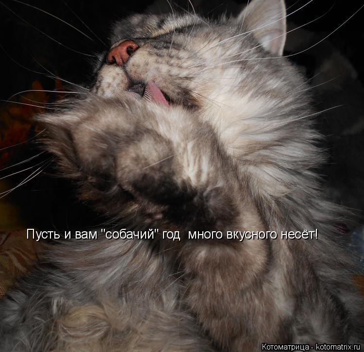 Пусть и вам "собачий" год много вкусного несёт!... Котоматрица: Пусть и вам "собачий" год много вкусного несёт!