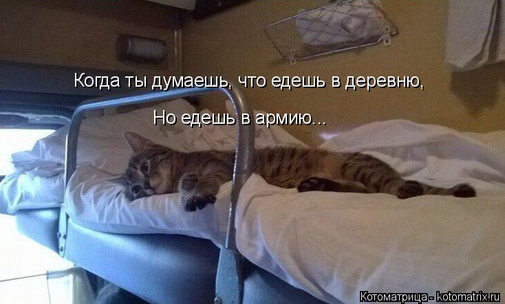Котоматрица: Когда ты думаешь, что едешь в деревню, Но едешь в армию...