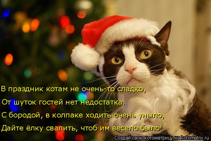 Котоматрица: В праздник котам не очень-то сладко, От шуток гостей нет недостатка. С бородой, в колпаке ходить очень уныло, Дайте ёлку свалить, чтоб им весе