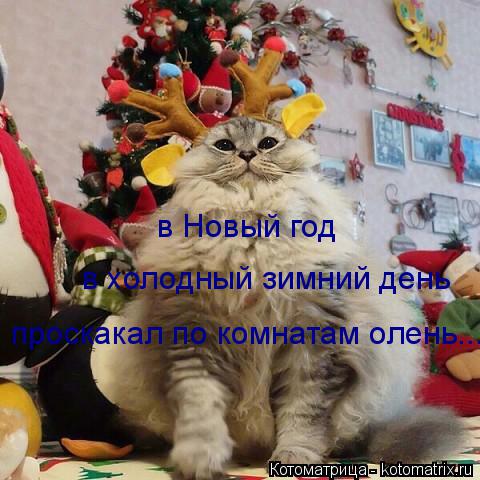 в Новый год в холодный зимний день проскакал по комнатам олень...... Котоматрица: в Новый год в холодный зимний день проскакал по комнатам олень...