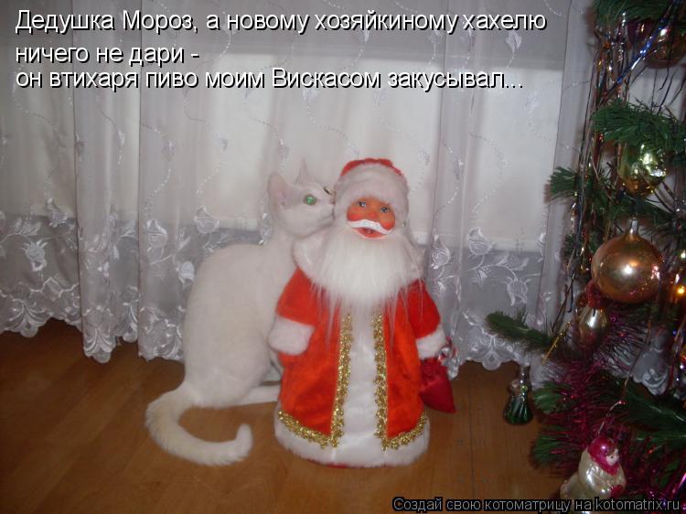 Дедушка Мороз, а новому хозяйкиному хахелю ничего не дари - он втихаря пиво моим Вискасом закусывал... Котоматрица: Дедушка Мороз, а новому хозяйкиному хахелю ничего не дари - он втихаря пиво моим Вискасом закусывал...