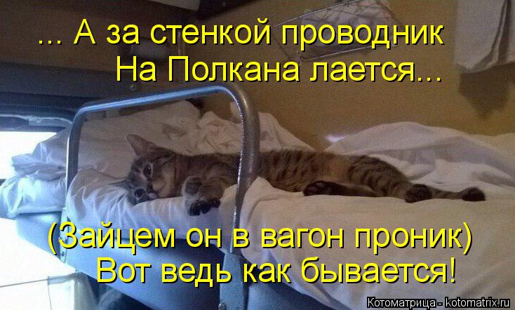 ... А за стенкой проводник На Полкана лается... (Зайцем он в вагон проник) Вот ведь как бывается!... Котоматрица: ... А за стенкой проводник На Полкана лается... (Зайцем он в вагон проник) Вот ведь как бывается!