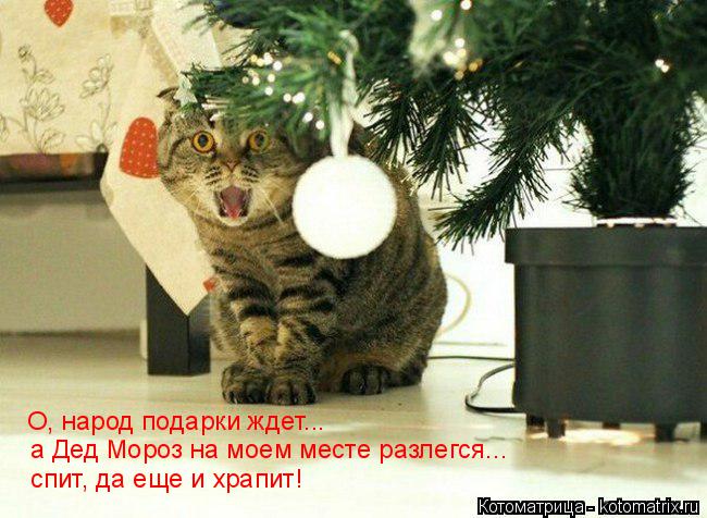 О, народ подарки ждет... а Дед Мороз на моем месте разлегся... спит, да еще и храпит!... Котоматрица: О, народ подарки ждет... а Дед Мороз на моем месте разлегся... спит, да еще и храпит!
