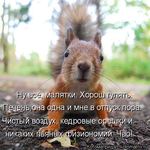 Ну всё, малятки. Хорош гулять. Чистый воздух, кедровые орешки и никаких пьяных физиономий. Чао! Печен... Котоматрица: Ну всё, малятки. Хорош гулять. Чистый воздух, кедровые орешки и никаких пьяных физиономий. Чао! Печень,она одна и мне в отпуск пора.