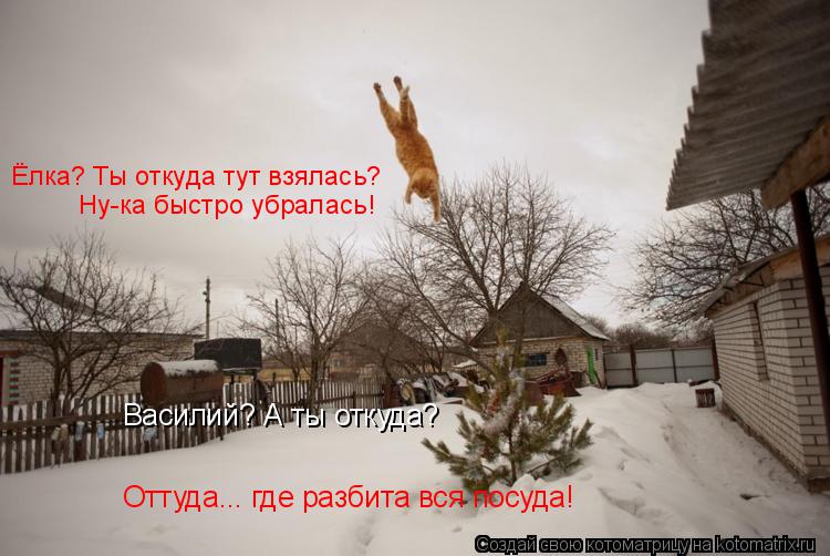 Василий? А ты откуда? Ёлка? Ты откуда тут взялась? Ну-ка быстро убралась! Оттуда... где разбита вся п... Котоматрица: Василий? А ты откуда? Ёлка? Ты откуда тут взялась? Ну-ка быстро убралась! Оттуда... где разбита вся посуда!