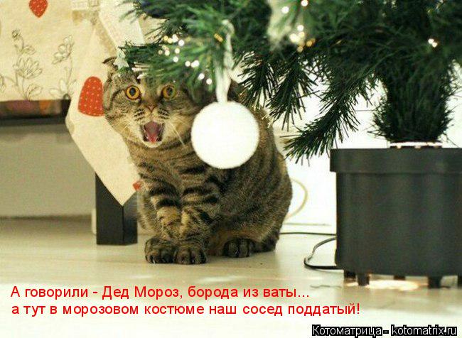А говорили - Дед Мороз, борода из ваты... а тут в морозовом костюме наш сосед поддатый!... Котоматрица: А говорили - Дед Мороз, борода из ваты... а тут в морозовом костюме наш сосед поддатый!