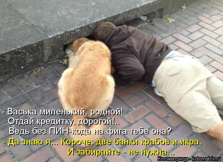 Котоматрица: - Васька миленький, родной! Отдай кредитку, дорогой!.. Ведь без ПИН-кода на фига тебе она? - Да знаю я... Короче: две банки крабов и икра. И забира?