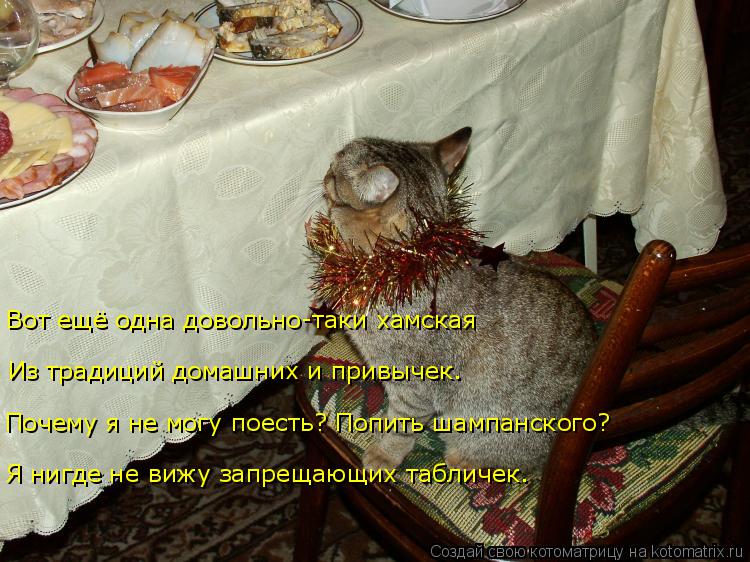 Котоматрица: Вот ещё одна довольно-таки хамская Почему я не могу поесть? Попить шампанского? Из традиций домашних и привычек. Я нигде не вижу запрещающих