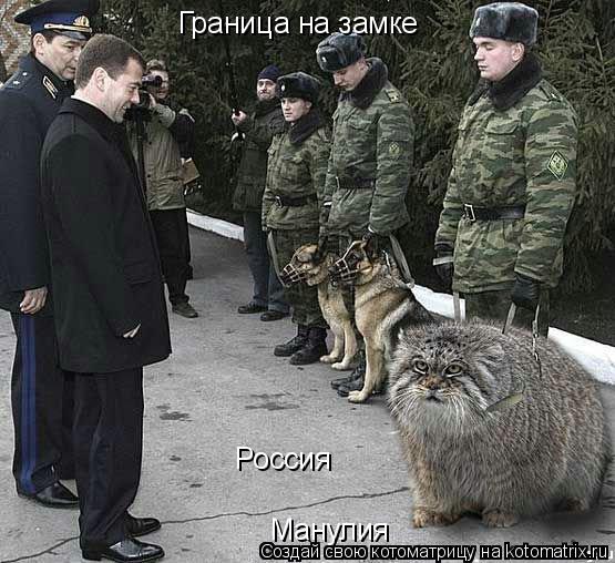 Граница на замке Россия Манулия... Котоматрица: Граница на замке Россия Манулия
