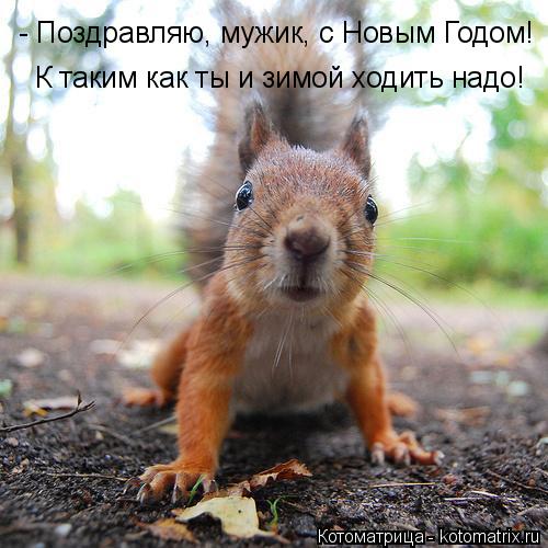 Котоматрица: - Поздравляю, мужик, с Новым Годом! К таким как ты и зимой ходить надо!