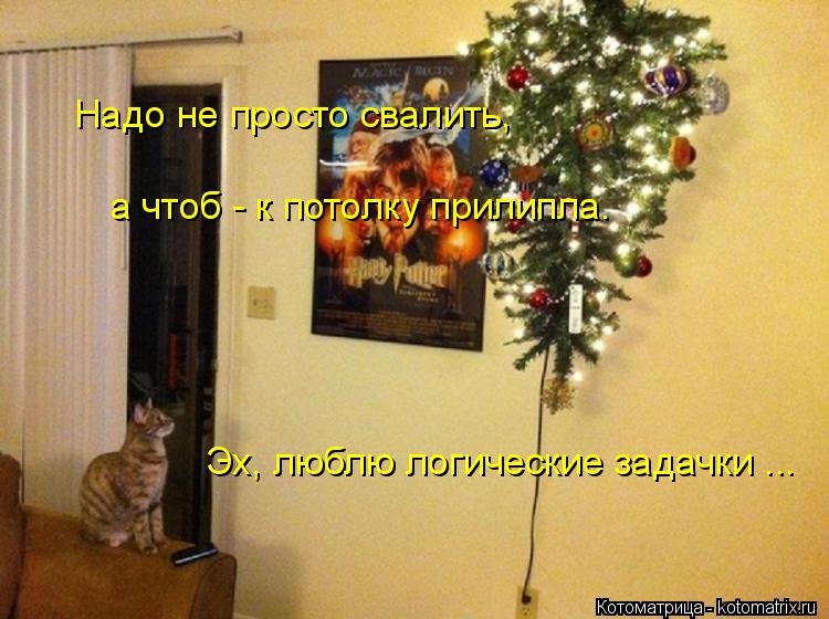 Надо не просто свалить, а чтоб - к потолку прилипла. Эх, люблю логические задачки ...... Котоматрица: Надо не просто свалить, а чтоб - к потолку прилипла. Эх, люблю логические задачки ...