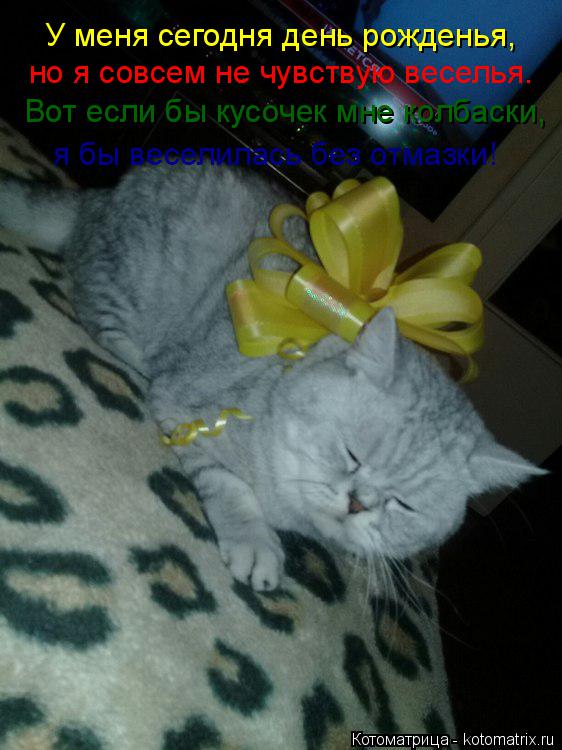 Котоматрица: У меня сегодня день рожденья, но я совсем не чувствую веселья. Вот если бы кусочек мне колбаски, я бы веселилась без отмазки!