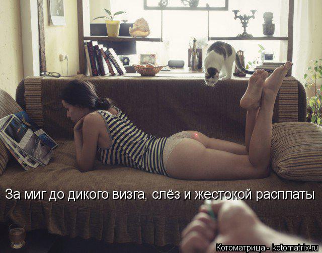 За миг до дикого визга, слёз и жестокой расплаты... Котоматрица: За миг до дикого визга, слёз и жестокой расплаты