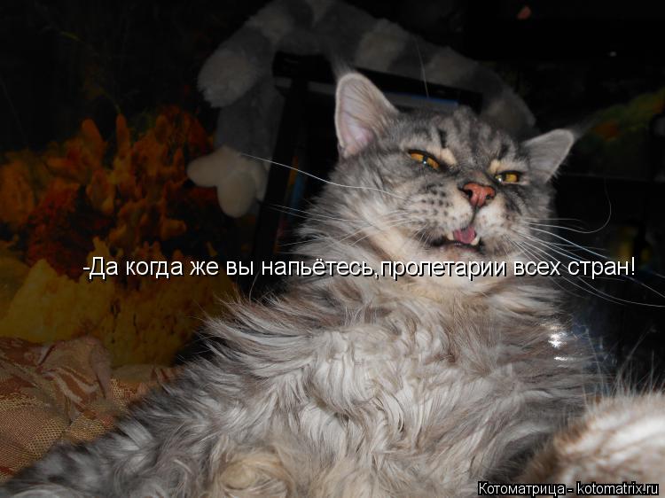 -Да когда же вы напьётесь,пролетарии всех стран!... Котоматрица: -Да когда же вы напьётесь,пролетарии всех стран!