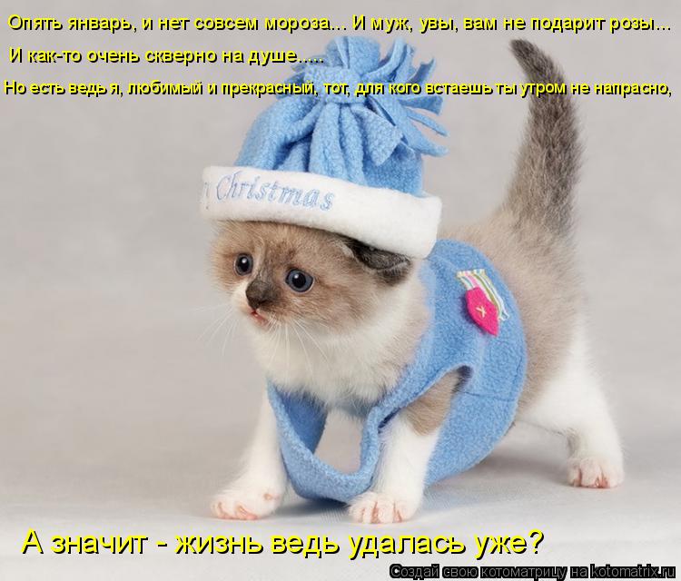 Опять январь, и нет совсем мороза... И муж, увы, вам не подарит розы... И как-то очень скверно на душ... Котоматрица: Опять январь, и нет совсем мороза... И муж, увы, вам не подарит розы... И как-то очень скверно на душе..... Но есть ведь я, любимый и прекрасный, тот
