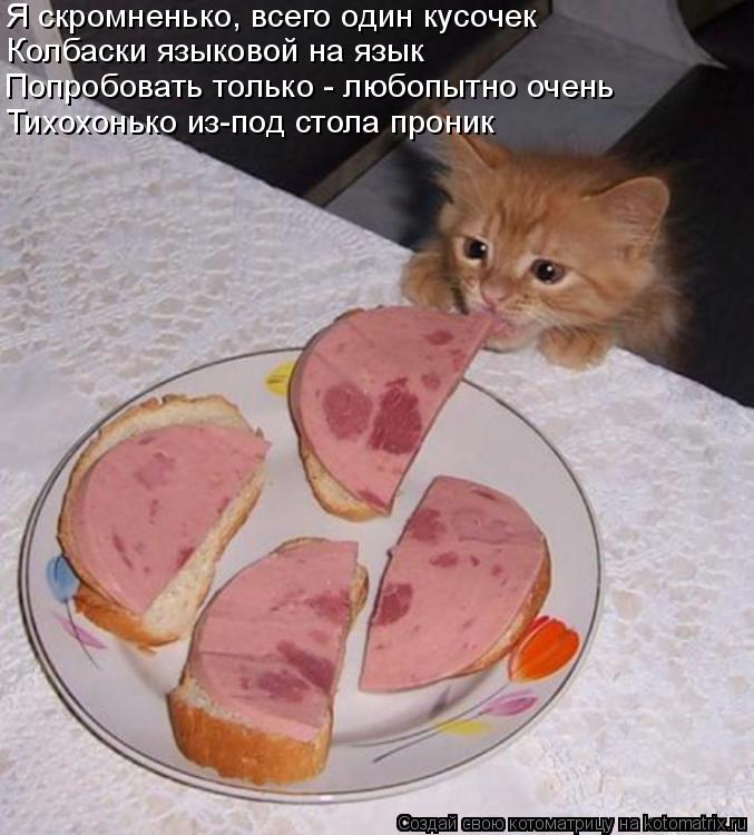 Я скромненько, всего один кусочек Колбаски языковой на язык Попробовать только - любопытно очень ... Котоматрица: Я скромненько, всего один кусочек Колбаски языковой на язык Попробовать только - любопытно очень Тихохонько из-под стола проник