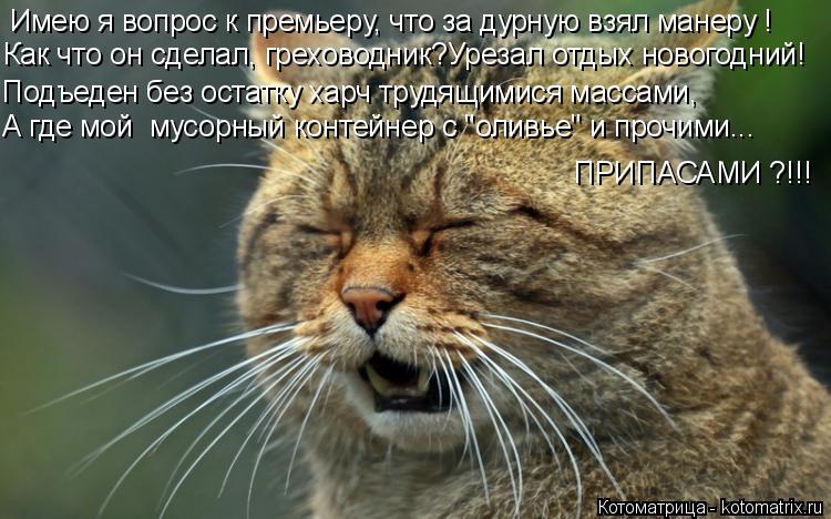 Имею я вопрос к премьеру, что за дурную взял манеру ! Как что он сделал, греховодник?Урезал отдых нов... Котоматрица: Имею я вопрос к премьеру, что за дурную взял манеру ! Как что он сделал, греховодник?Урезал отдых новогодний! Подъеден без остатку харч трудя