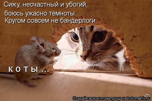 Сижу, несчастный и убогий, боюсь ужасно темноты. Кругом совсем не бандерлоги. к о т ы ...... Котоматрица: Сижу, несчастный и убогий, боюсь ужасно темноты. Кругом совсем не бандерлоги. к о т ы ...