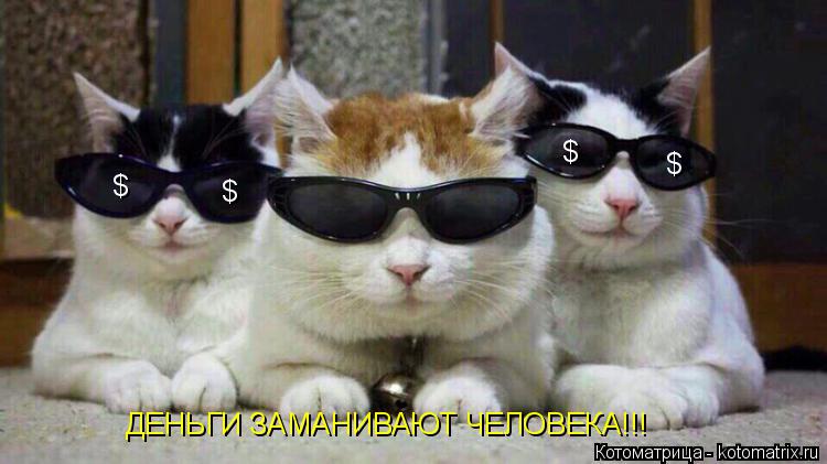$ $ $ $ ДЕНЬГИ ЗАМАНИВАЮТ ЧЕЛОВЕКА!!!... Котоматрица: $ $ $ $ ДЕНЬГИ ЗАМАНИВАЮТ ЧЕЛОВЕКА!!!