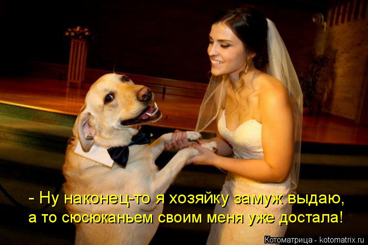 - Ну наконец-то я хозяйку замуж выдаю, а то сюсюканьем своим меня уже достала!... Котоматрица: - Ну наконец-то я хозяйку замуж выдаю, а то сюсюканьем своим меня уже достала!