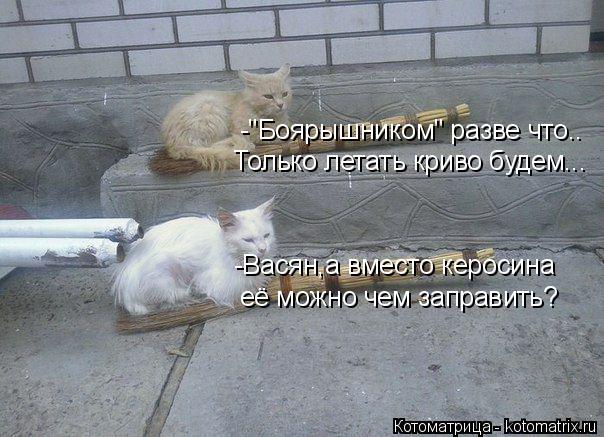 -Васян,а вместо керосина её можно чем заправить? -"Боярышником" разве что.. Только летать криво буде... Котоматрица: -Васян,а вместо керосина её можно чем заправить? -"Боярышником" разве что.. Только летать криво будем...