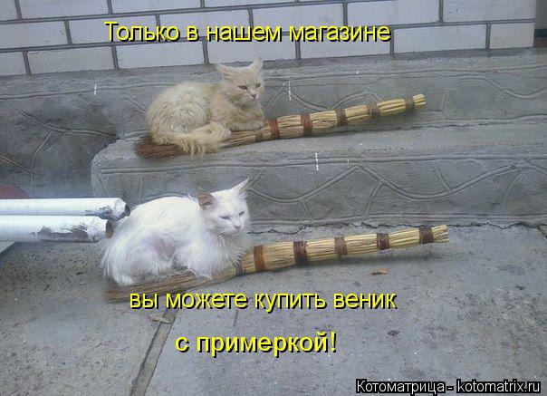 Только в нашем магазине вы можете купить веник с примеркой!... Котоматрица: Только в нашем магазине вы можете купить веник с примеркой!