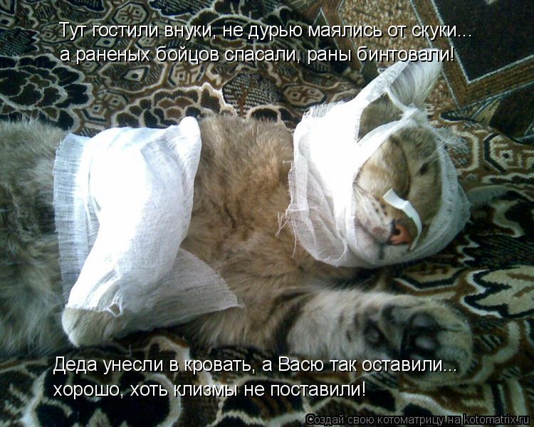 Тут гостили внуки, не дурью маялись от скуки... а раненых бойцов спасали, раны бинтовали! Деда унесли... Котоматрица: Тут гостили внуки, не дурью маялись от скуки... а раненых бойцов спасали, раны бинтовали! Деда унесли в кровать, а Васю так оставили... хорошо, ?