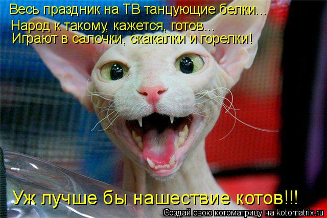 Весь праздник на ТВ танцующие белки... Народ к такому, кажется, готов... Играют в салочки, скакалки и... Котоматрица: Весь праздник на ТВ танцующие белки... Народ к такому, кажется, готов... Играют в салочки, скакалки и горелки! Уж лучше бы нашествие котов!!!