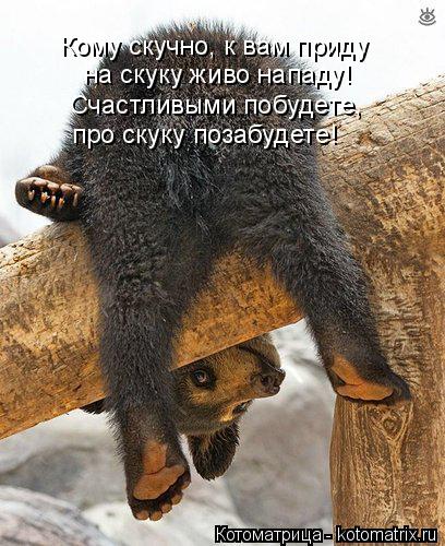 Кому скучно, к вам приду на скуку живо нападу! Счастливыми побудете, про скуку позабудете!... Котоматрица: Кому скучно, к вам приду на скуку живо нападу! Счастливыми побудете, про скуку позабудете!