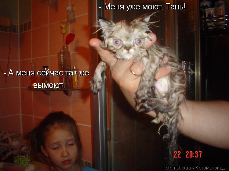 - Меня уже моют, Тань! - А меня сейчас так же вымоют!... Котоматрица: - Меня уже моют, Тань! - А меня сейчас так же вымоют!