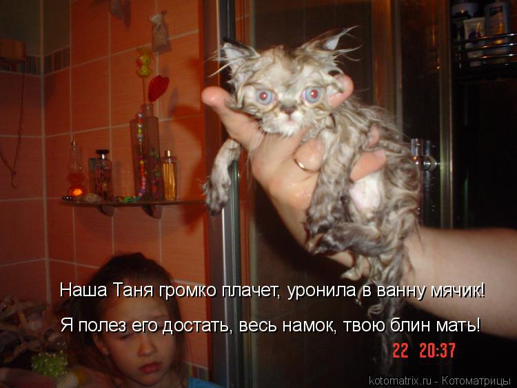 Наша Таня громко плачет, уронила в ванну мячик! Я полез его достать, весь намок, твою блин мать!... Котоматрица: Наша Таня громко плачет, уронила в ванну мячик! Я полез его достать, весь намок, твою блин мать!