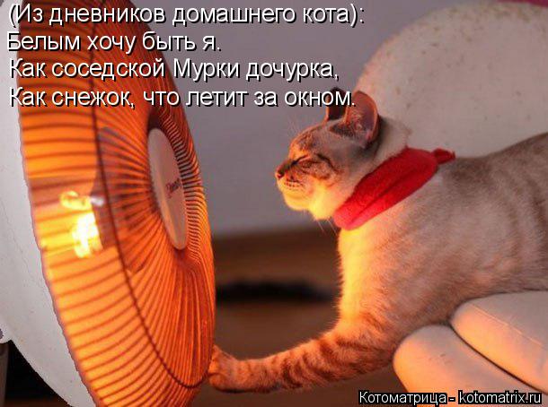 (Из дневников домашнего кота): Белым хочу быть я. Как соседской Мурки дочурка, Как снежок, что летит ... Котоматрица: (Из дневников домашнего кота): Белым хочу быть я. Как соседской Мурки дочурка, Как снежок, что летит за окном.