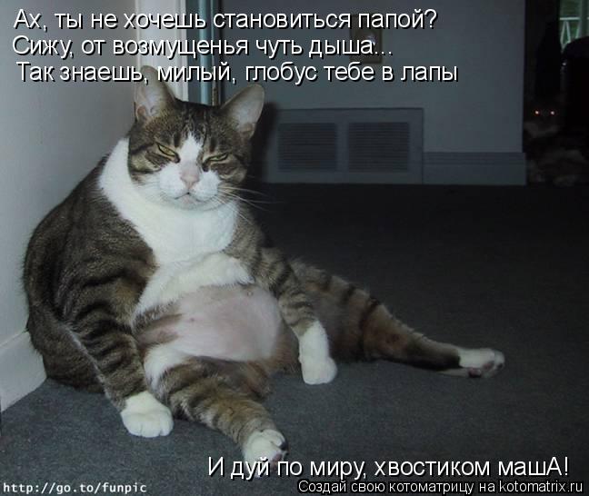 Ах, ты не хочешь становиться папой? Сижу, от возмущенья чуть дыша... Так знаешь, милый, глобус тебе в... Котоматрица: Ах, ты не хочешь становиться папой? Сижу, от возмущенья чуть дыша... Так знаешь, милый, глобус тебе в лапы И дуй по миру, хвостиком машА!