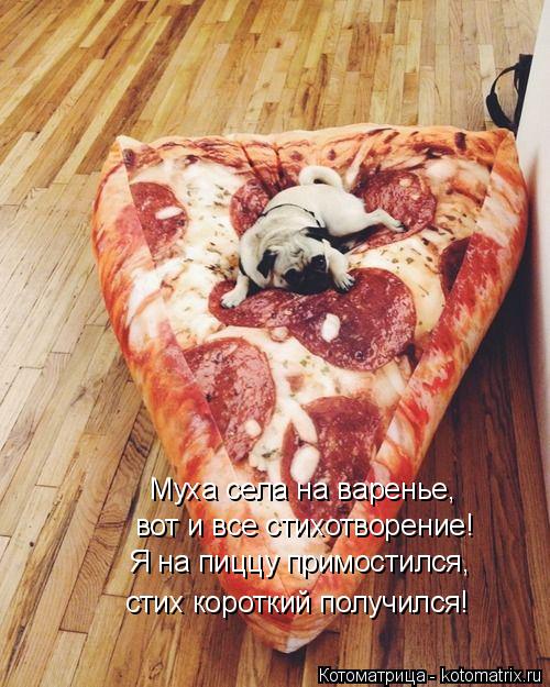 Котоматрица: Я на пиццу примостился, стих короткий получился! вот и все стихотворение! Муха села на варенье,