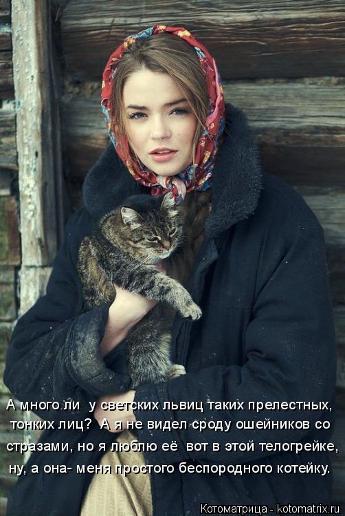 А много ли у светских львиц таких прелестных, тонких лиц? А я не видел сроду ошейников со стразами,... Котоматрица: А много ли у светских львиц таких прелестных, тонких лиц? А я не видел сроду ошейников со стразами, но я люблю её вот в этой телогрейке, ну, а