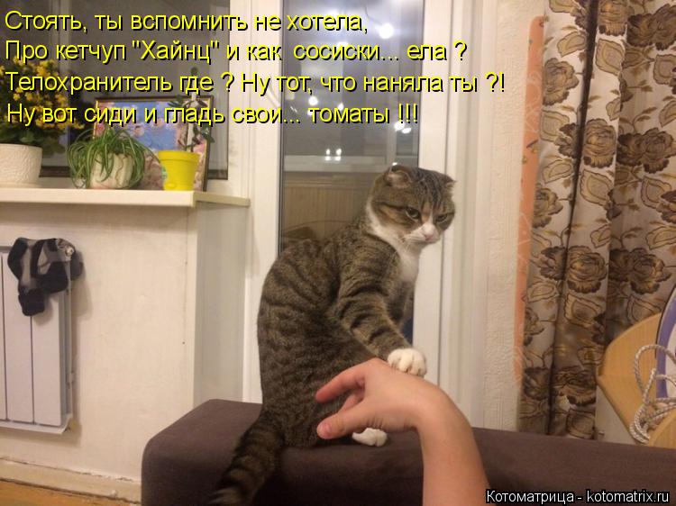 Котоматрица: Стоять, ты вспомнить не хотела, Про кетчуп "Хайнц" и как  сосиски... ела ? Телохранитель где ? Ну тот, что наняла ты ?! Ну вот сиди и гладь свои... т?