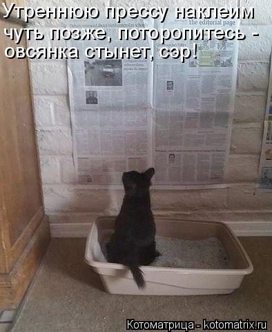 Утреннюю прессу наклеим чуть позже, поторопитесь - овсянка стынет, сэр!... Котоматрица: Утреннюю прессу наклеим чуть позже, поторопитесь - овсянка стынет, сэр!