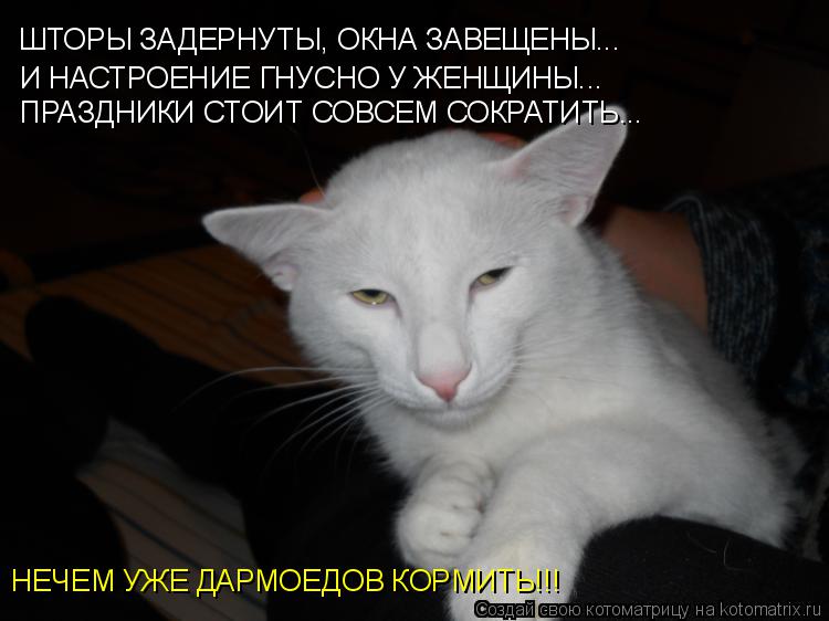 Котоматрица: ШТОРЫ ЗАДЕРНУТЫ, ОКНА ЗАВЕЩЕНЫ... И НАСТРОЕНИЕ ГНУСНО У ЖЕНЩИНЫ... ПРАЗДНИКИ СТОИТ СОВСЕМ СОКРАТИТЬ... НЕЧЕМ УЖЕ ДАРМОЕДОВ КОРМИТЬ!!!