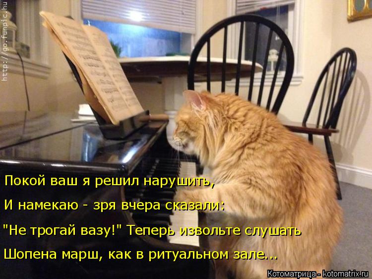 Покой ваш я решил нарушить, И намекаю - зря вчера сказали: "Не трогай вазу!" Теперь извольте слушать ... Котоматрица: Покой ваш я решил нарушить, И намекаю - зря вчера сказали: "Не трогай вазу!" Теперь извольте слушать Шопена марш, как в ритуальном зале...