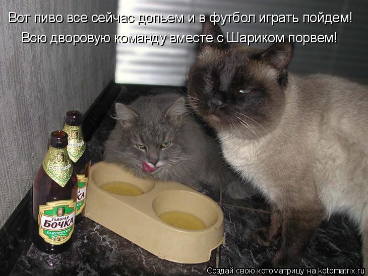 Вот пиво все сейчас допьем и в футбол играть пойдем! Всю дворовую команду вместе с Шариком порвем!... Котоматрица: Вот пиво все сейчас допьем и в футбол играть пойдем! Всю дворовую команду вместе с Шариком порвем!